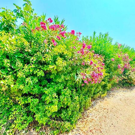 Tetraktys Estate Beachside Υδωρ Ágios Matthaíos Екстериор снимка