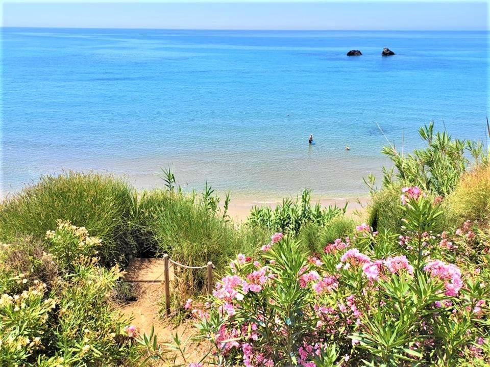 Tetraktys Estate Beachside Υδωρ Ágios Matthaíos Екстериор снимка