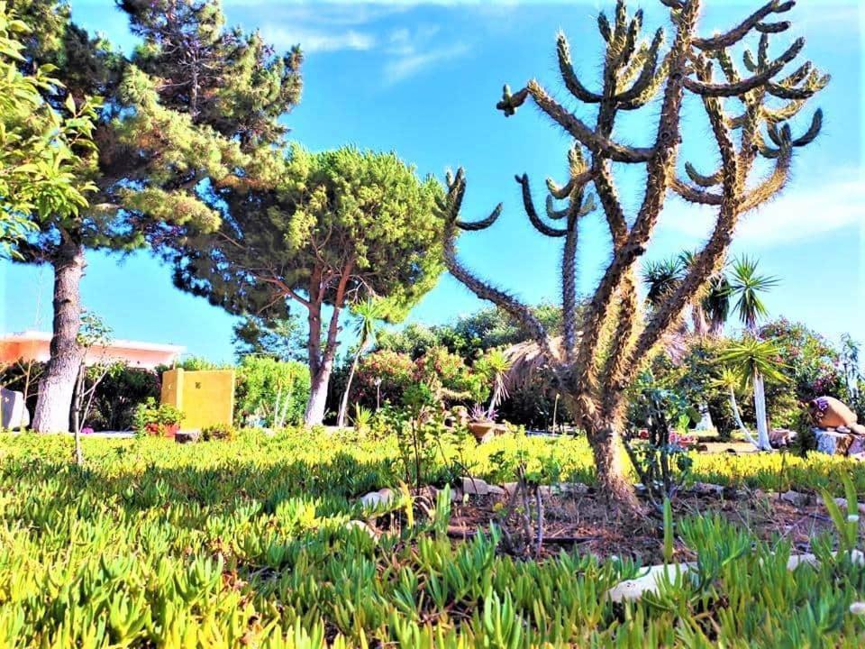 Tetraktys Estate Beachside Υδωρ Ágios Matthaíos Екстериор снимка