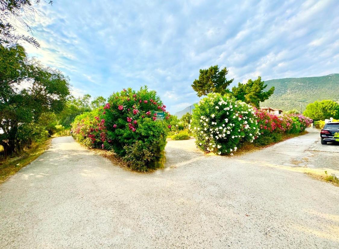 Tetraktys Estate Beachside Υδωρ Ágios Matthaíos Екстериор снимка