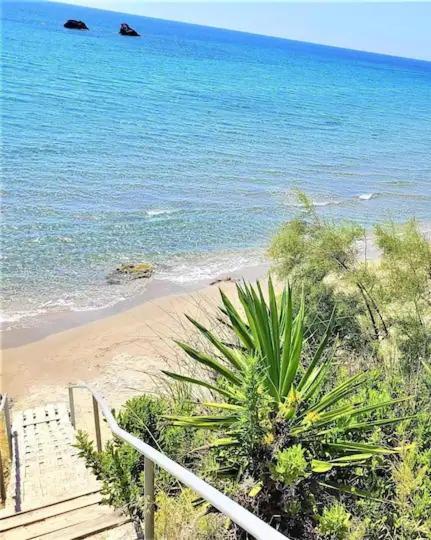 Tetraktys Estate Beachside Υδωρ Ágios Matthaíos Екстериор снимка
