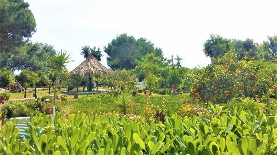 Tetraktys Estate Beachside Υδωρ Ágios Matthaíos Екстериор снимка